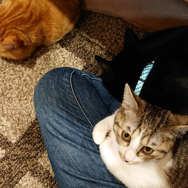 16b22731 00d2 48d4 8012 0df06fbea118 1548503917800