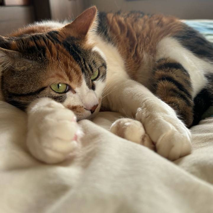 16b2543f e70c 4a14 99ca 6743c3716143 1729772825782