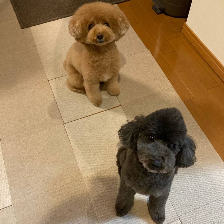 16b26a17 027b 4b66 8306 a0bffa221b1e 1634423346297