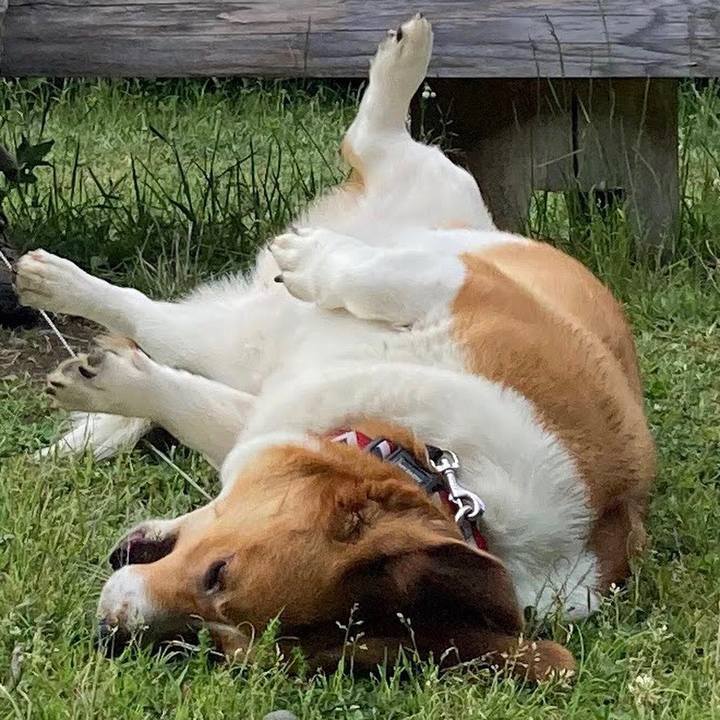 16b28bbb b25b 4843 ad27 f80d82e083e9 1653234126231