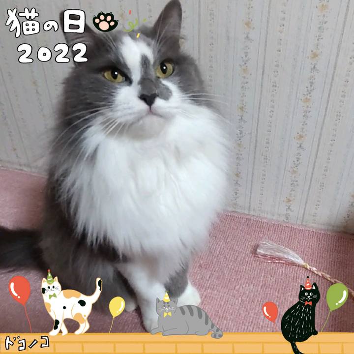 16b29cac 35ee 4d34 a87e 8a5ab65b73da 1645529767926