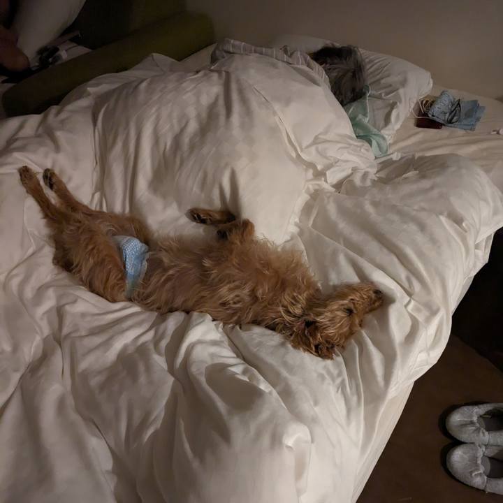 16b2f573 18dc 4f6a 84ab bc04dc56ea93 1714289467451