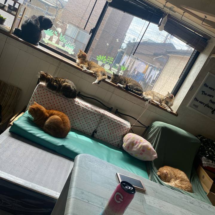 16b313fa f9a8 437f a138 0d3b2e1a22e9 1618018330350