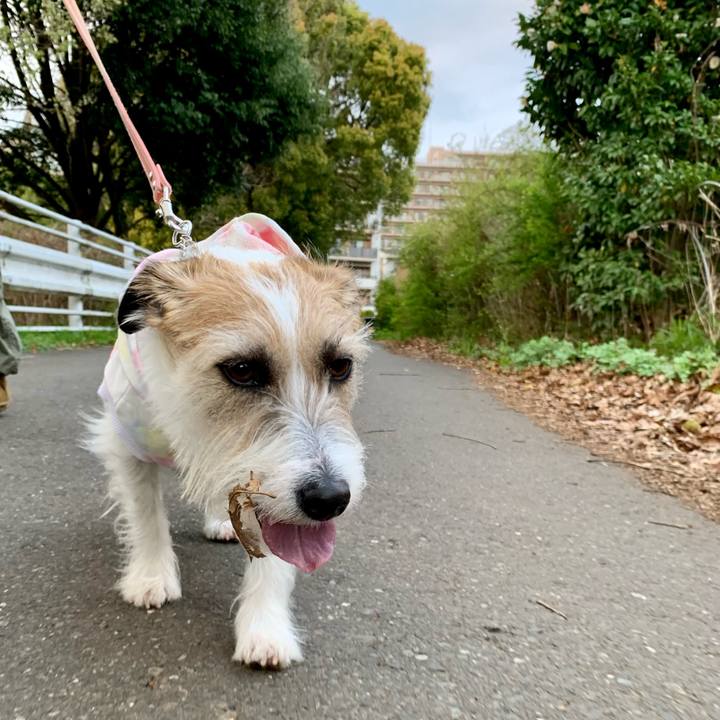 16b324f5 bd97 46da 8811 caed4df622b0 1680444806346