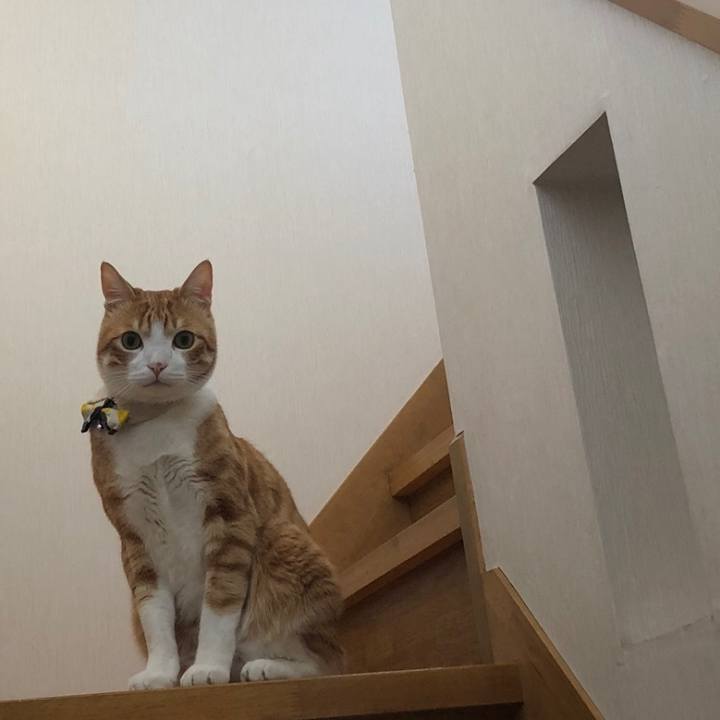 16b32f45 202b 4232 903f 5a71fde449be 1558649279052