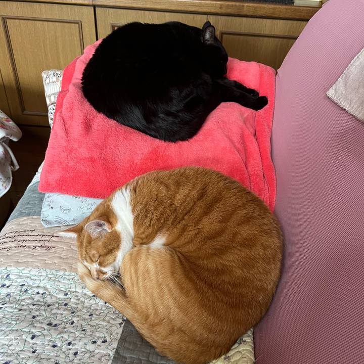 16b33413 408e 49a5 9e92 b9074a99df9d 1771031433669