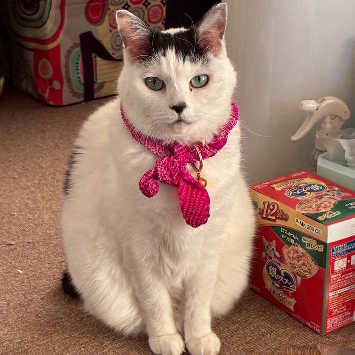 16b34bde 6f82 4503 a754 8a0553635a9c 1767074509026