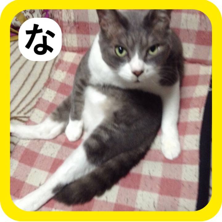 16b39cf2 ce5a 49e9 92a2 c4121eb562d3 1514804162434