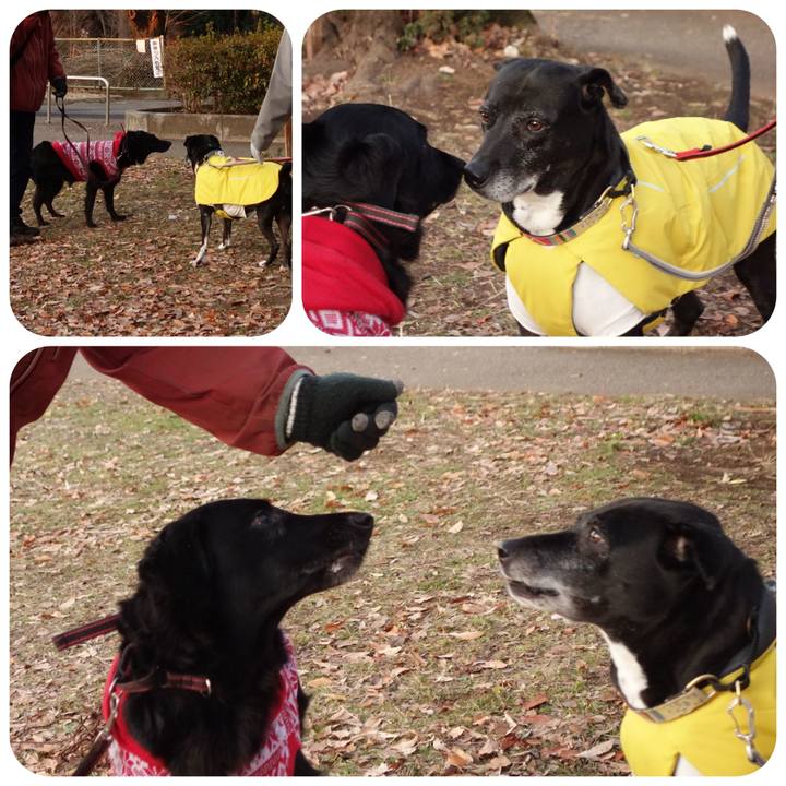 16b3af8c 8c89 44a6 a39b a43d2a8b1a46 1736898261453