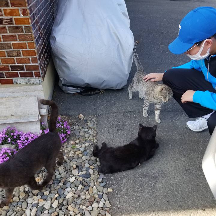 16b3fb87 0a3a 4851 b956 53c0f9bbc9fa 1684157415880