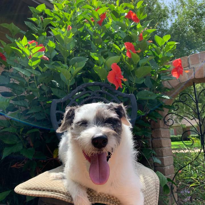 16b40145 7c41 4f04 8530 efd5b06a5cd7 1594159089972