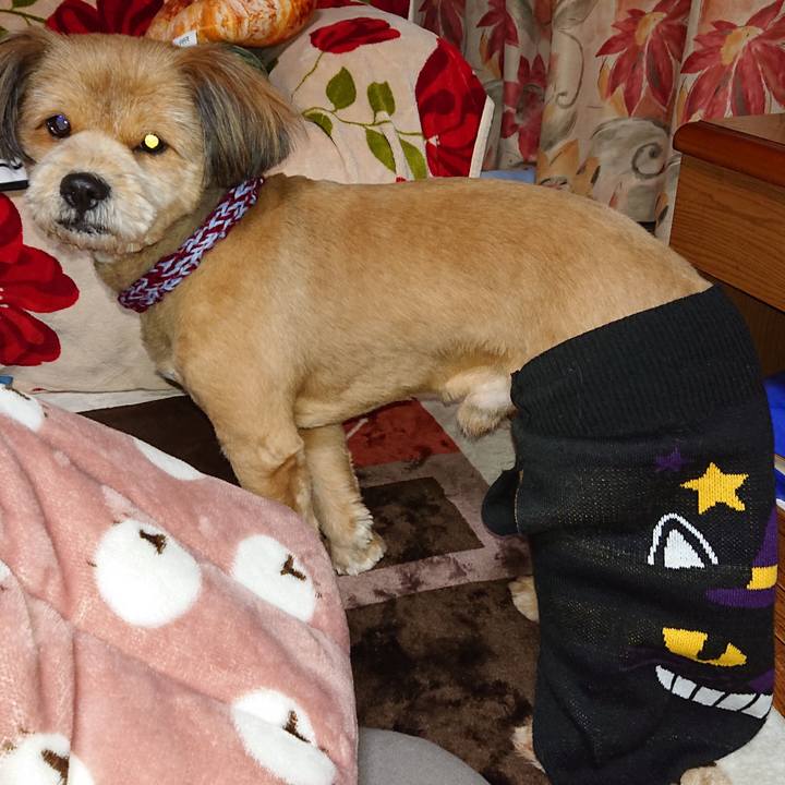 16b43fc4 88dc 4917 8720 8a06f5dca048 1548167078163