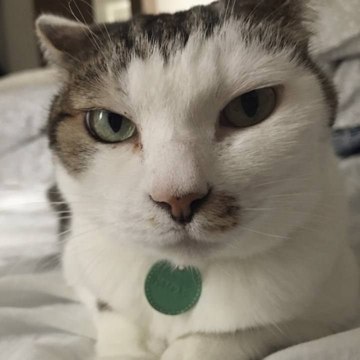 16b441b5 195e 4f9e b153 d54049fa040a 1552101026512