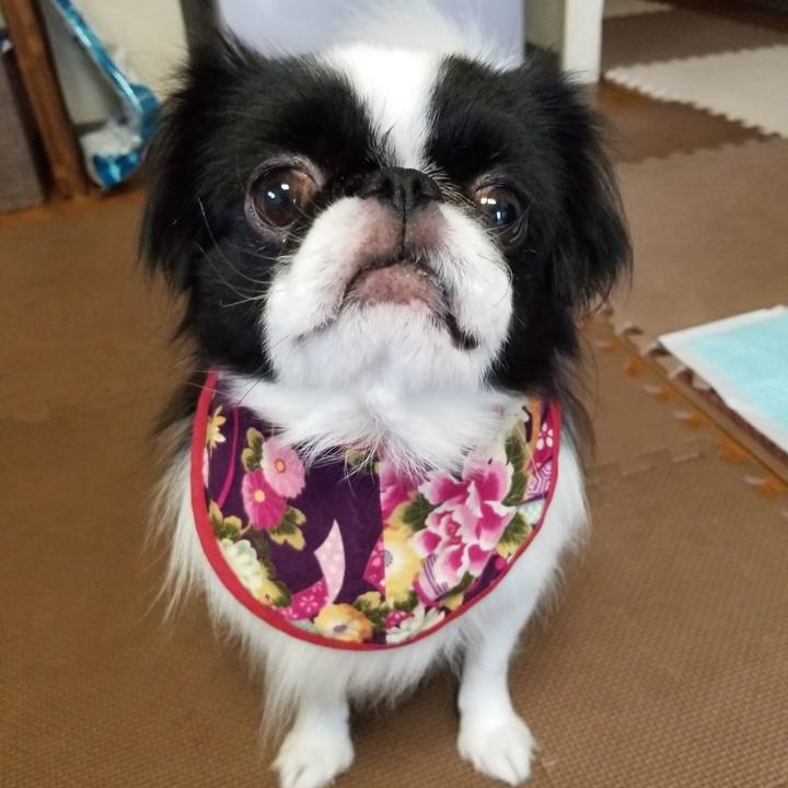 16b46572 0643 4dfb be7a 8ff2300f3f67 1667448869070