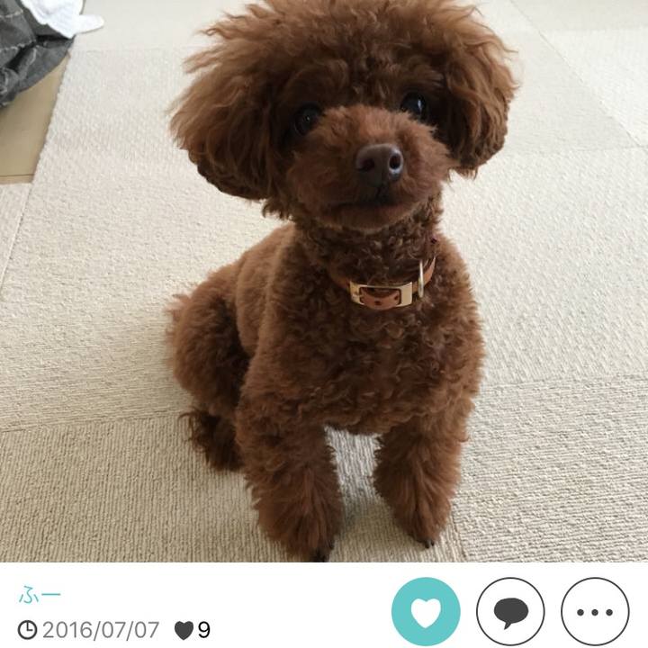 16b4a174 10ed 44bb 84eb 8375fdfe2c37 1528156365155