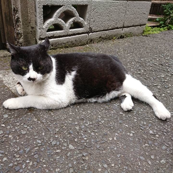 16b4bc4c 92cc 4437 a15b 2ebbbc1308b2 1624762380346