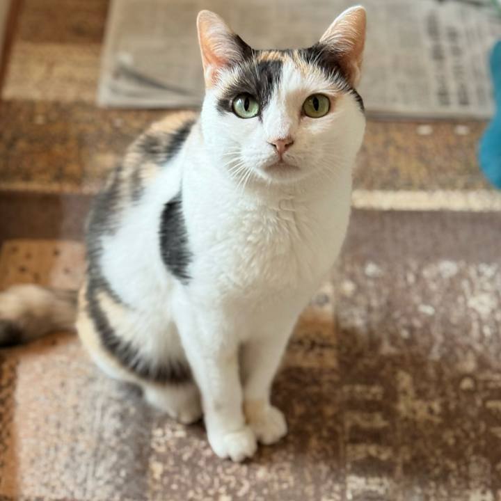 16b4c8d4 f8b6 4927 a955 e1e38eff259d 1754616408764