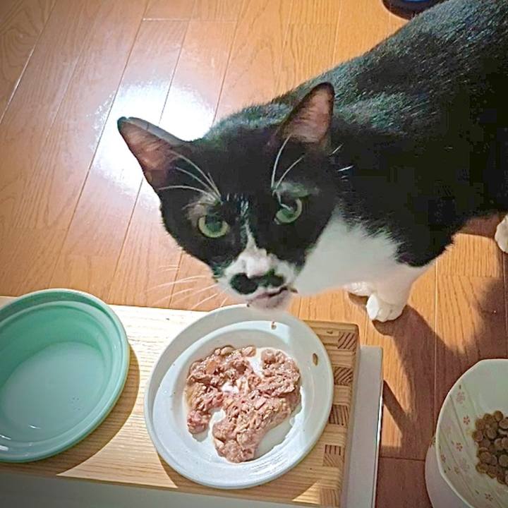 16b4e062 ef4f 48aa 964e 1172875d5705 1661476395376