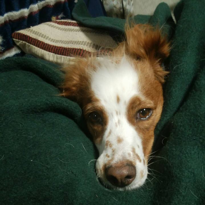 16b5168e 1e60 4edc 9c6b 8229e6da9a34 1547210164200