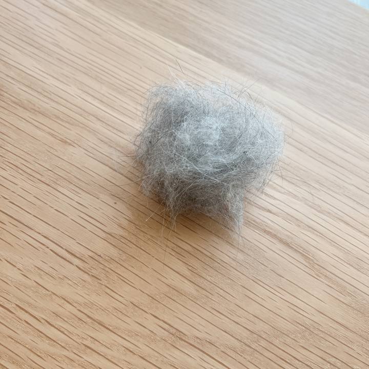 16b52255 4797 466b a526 fe653c486ff5 1658656530563