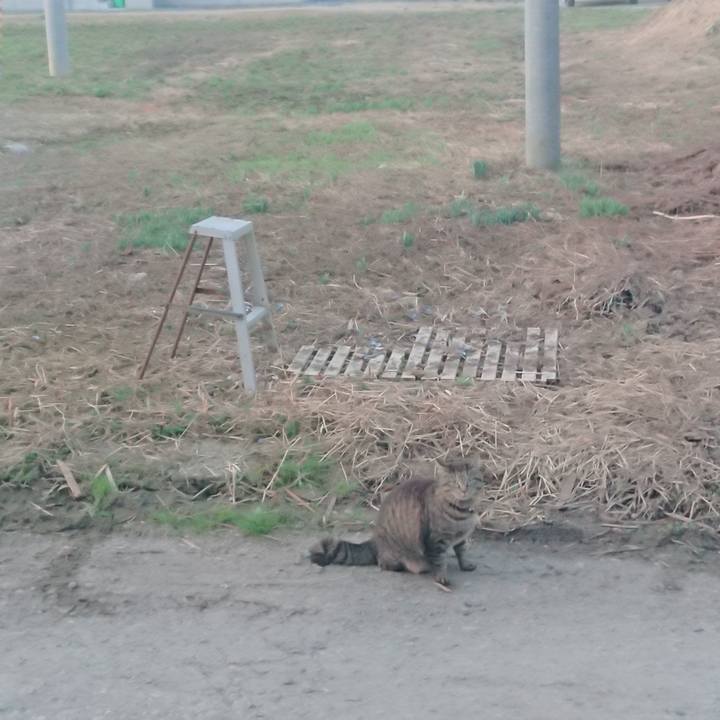 16b52cde 1276 4223 86ef 39e59091778c 1649798450205