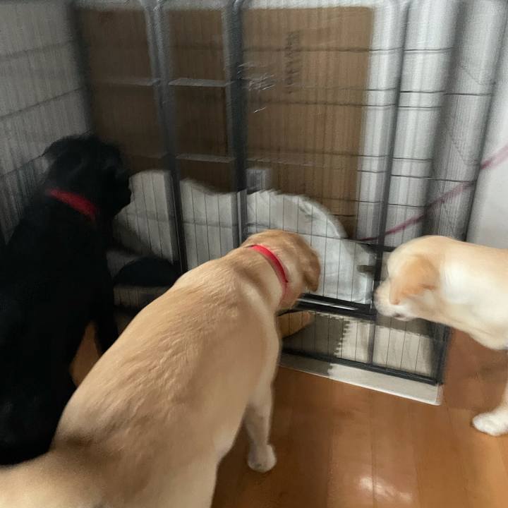 16b56028 588e 4f64 b8f6 d8c2b3c3960a 1623972258165