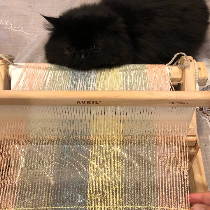 16b57813 a710 4ef4 b064 1322b3fd1d04 1547402389928