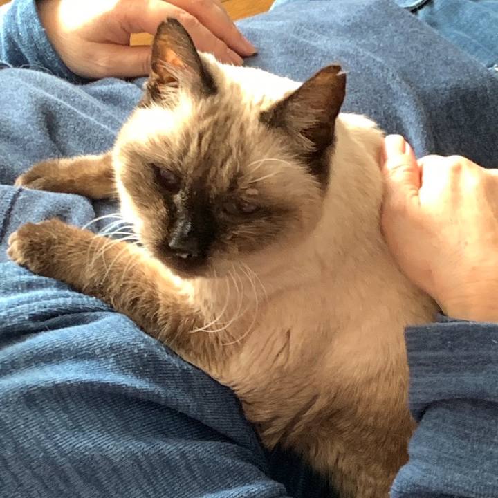 16b58a6e 23c7 45a9 9dda dcd58a79b1d9 1701394741788