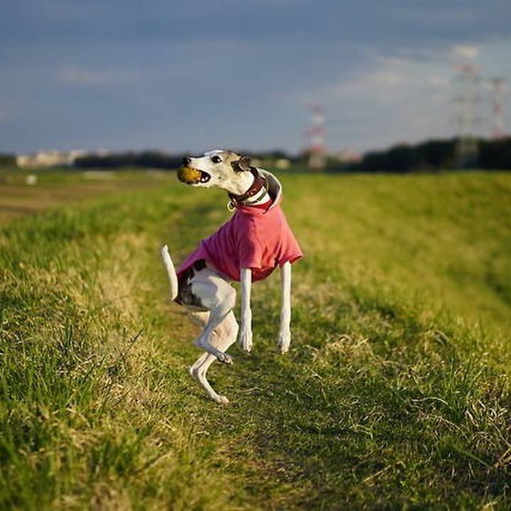 16b59281 4159 4b8b a9ea 2cf317c65307 1525353014353