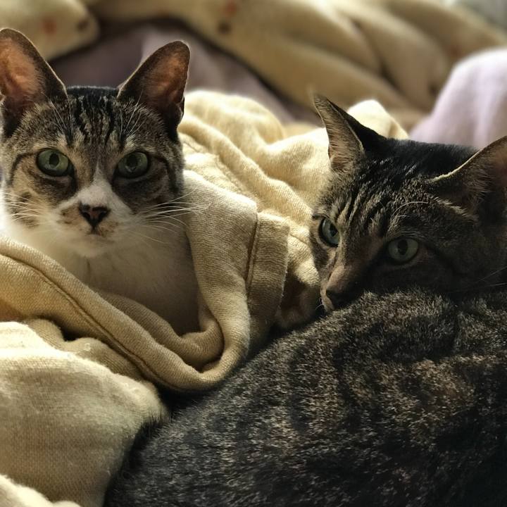 16b5ae75 fae5 4fd2 905f c75b94a3e56e 1508666117431