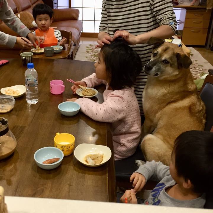 16b5da62 892c 4ae5 92f6 46cb4af20bab 1546475771219