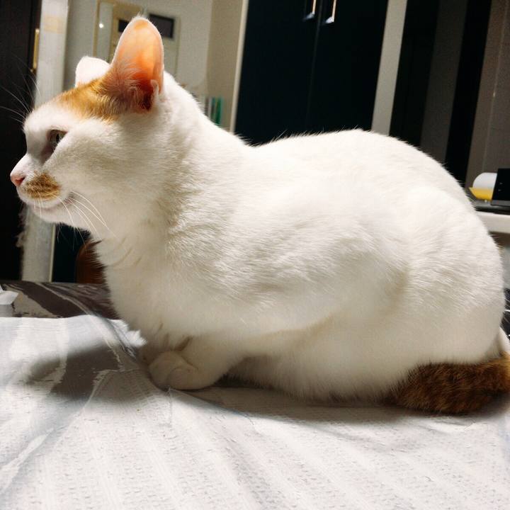 16b6243f b069 48b1 a747 5f78388c830b 1513687917884