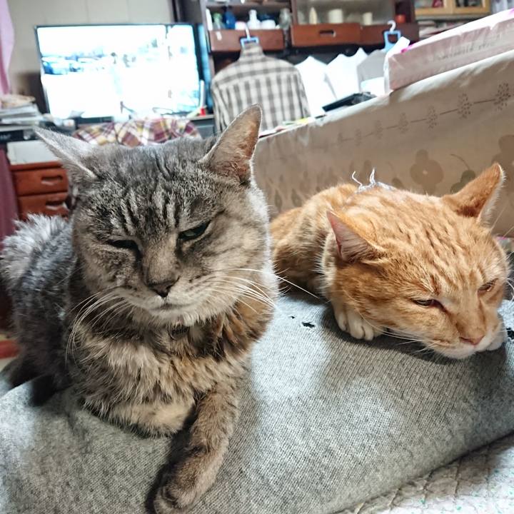 16b62c78 9a9e 46f0 8cf9 640054100498 1575708678817