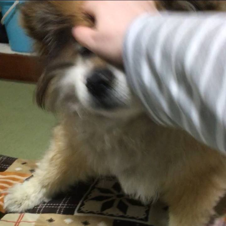 16b63309 c582 4c42 8137 ca92a7a950aa 1609546458842