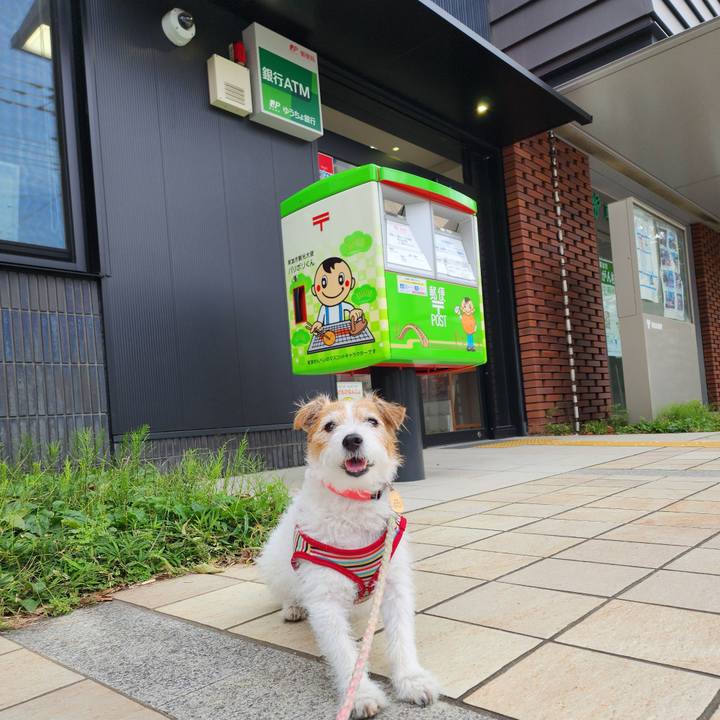 16b648de 49ef 4a5f 9445 023937852858 1760320331070