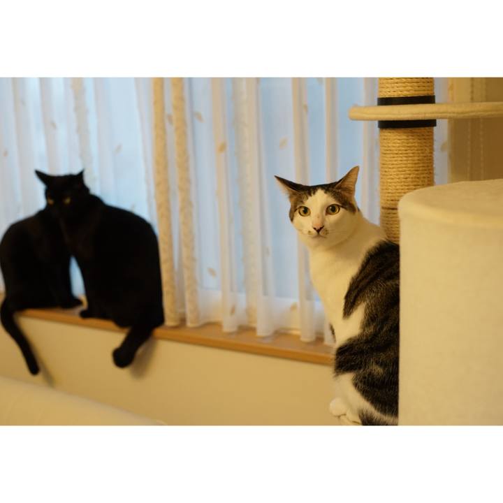 16b65733 fd22 4a1b afb2 b3675b358dd9 1520553727981