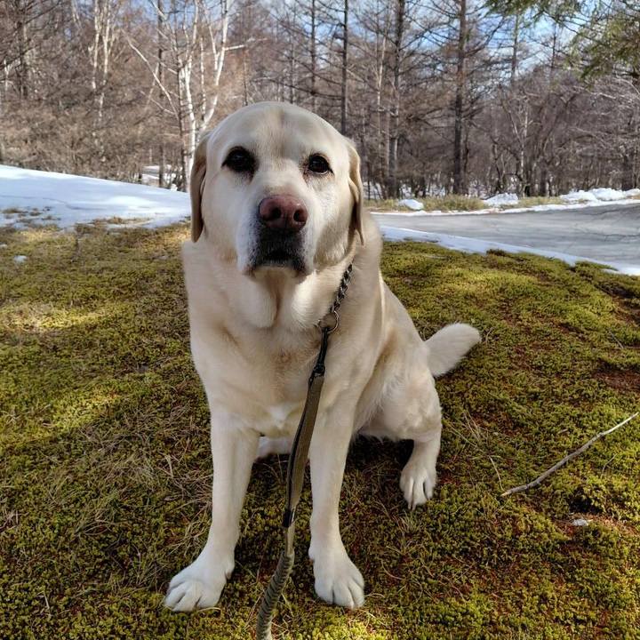 16b6a6d6 8c89 4388 bd7d 741fa469dfbe 1770349255030