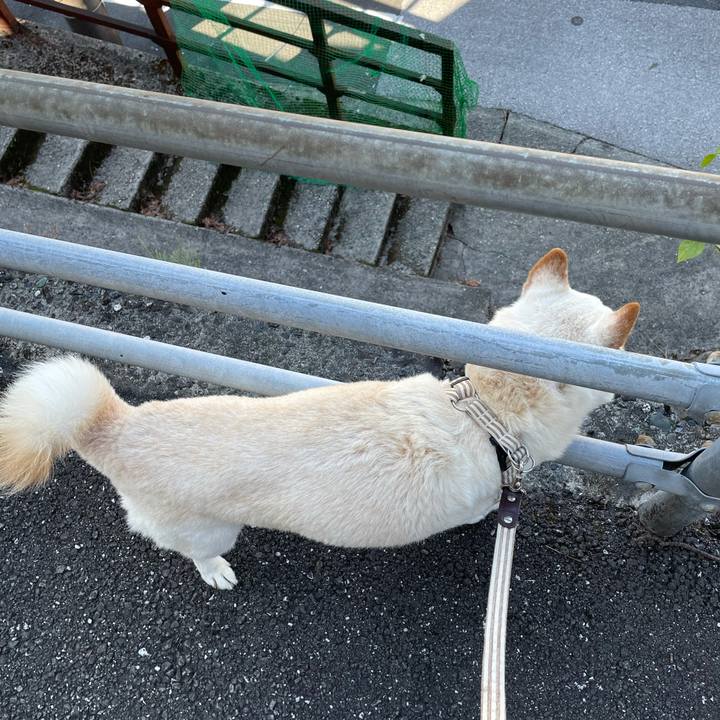 16b6cf0a 27bb 4f6d 9bae 63b26df60ec8 1635399999615