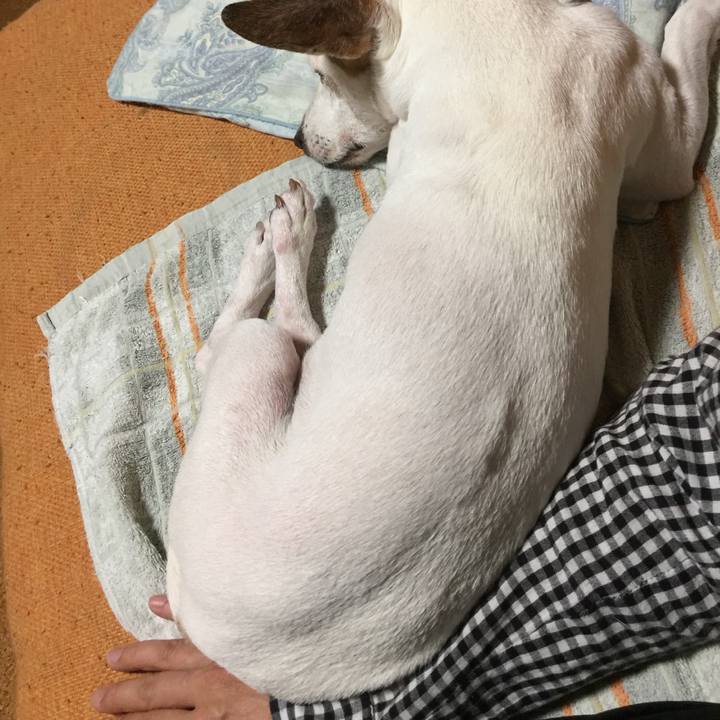 16b6ef5f b039 4ef8 b844 75d12abf479d 1536841764652