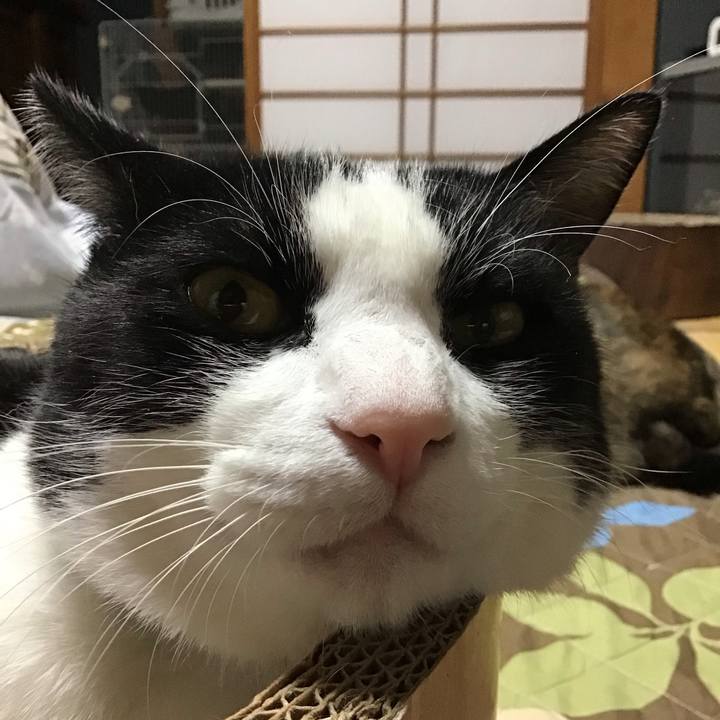 16b6f956 fff4 4bcd a177 bc648d95aa6a 1732872994749