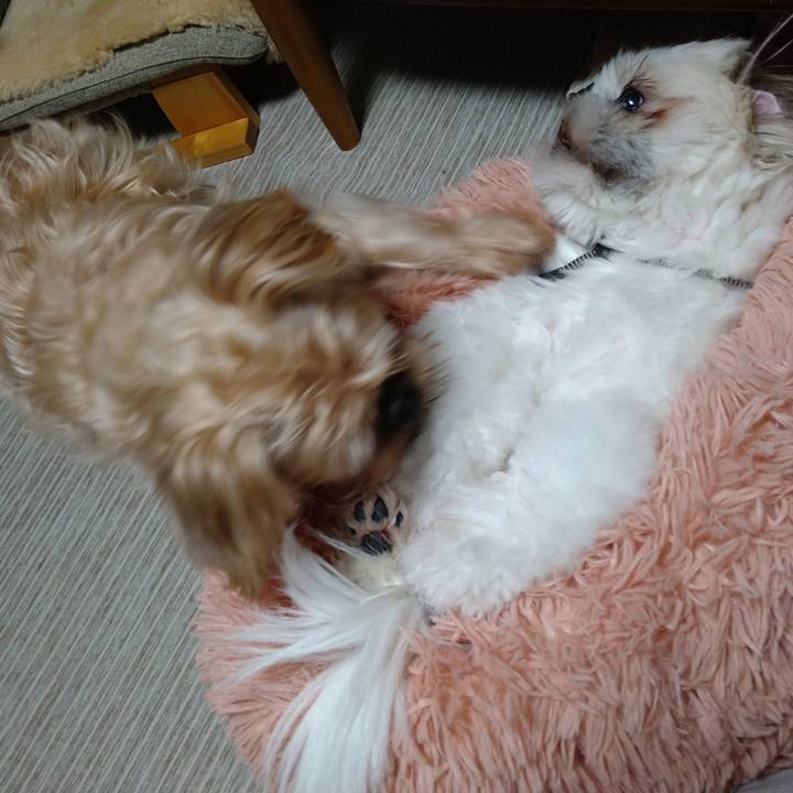 16b7065e 6953 48a1 a9ea 7feb51b298d2 1617458480537