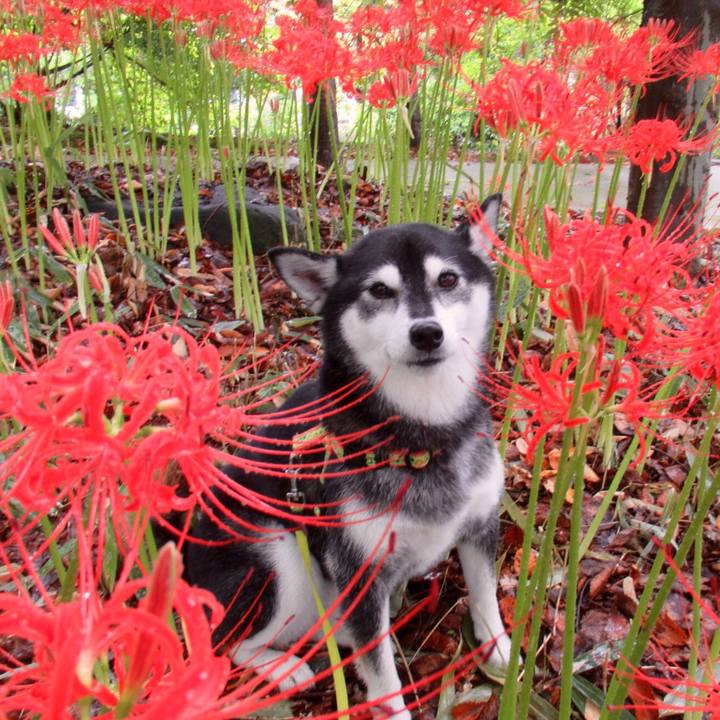 16b71759 efa7 42e5 a9f5 ed3102abd27a 1632030741684