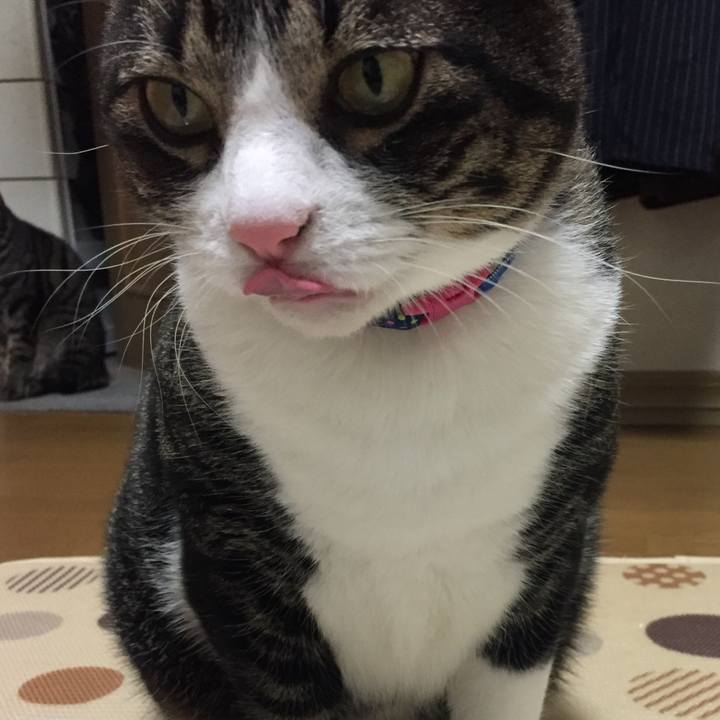 16b73c88 e2c8 49ff 91f2 14f9c03cf1b0 1514961295485