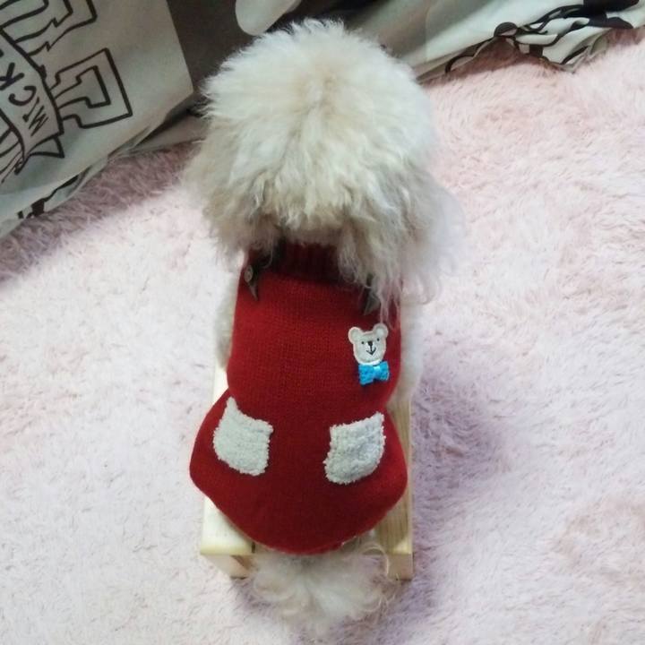 16b75291 a6b6 4abd ac60 65c83d67b248 1544003968035