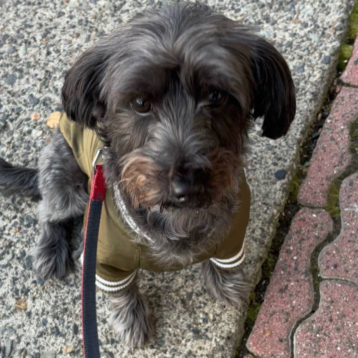 16b75455 b734 4151 bea7 3982ce0682df 1764769886712