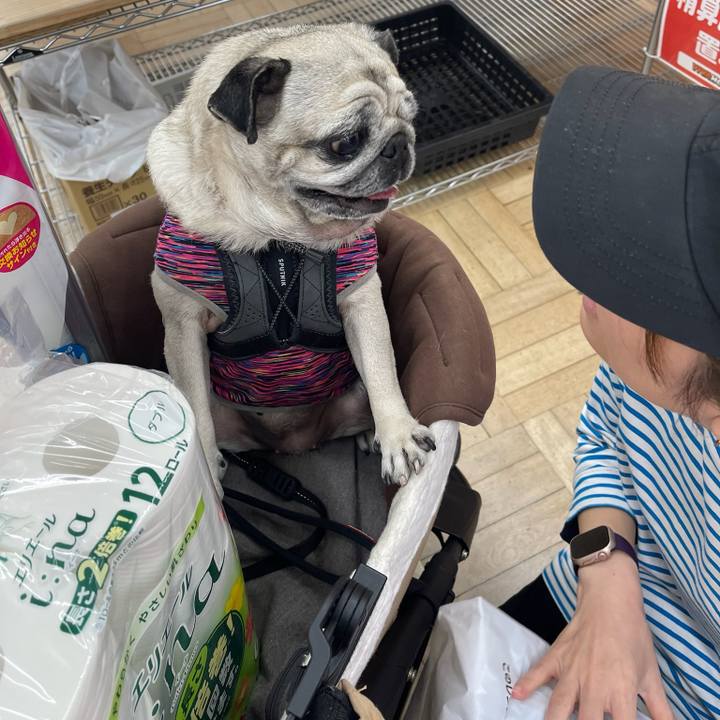 16b76434 a350 4fcb 8a5f 4953eaf3314e 1764543607813