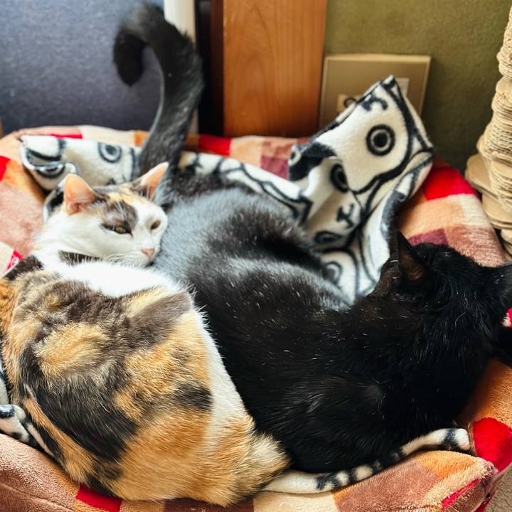 16b76f5d cc4b 4486 8ea7 0bf58ef24ad4 1667700891405