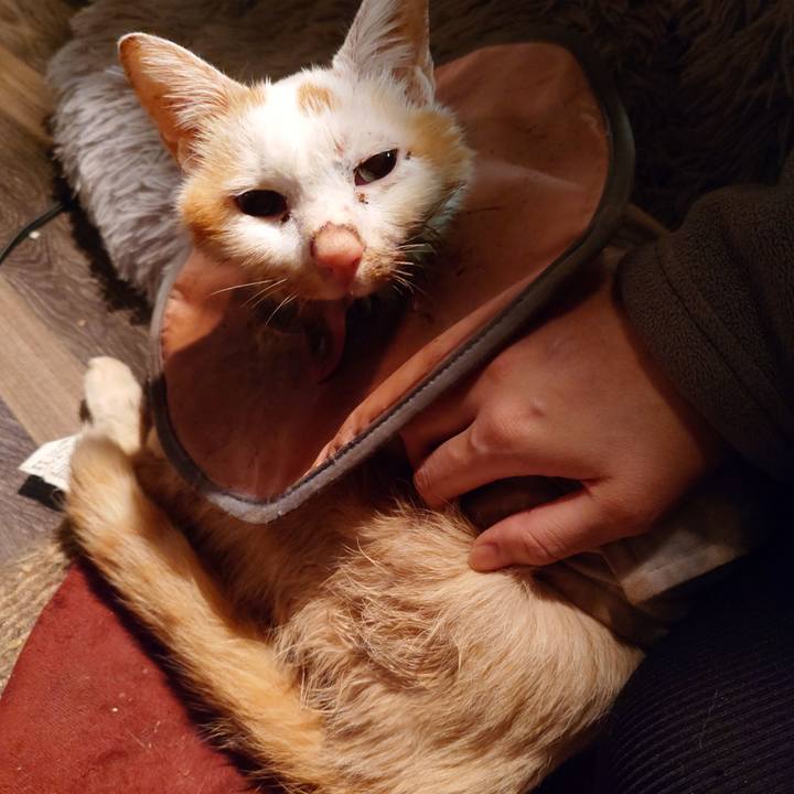 16b79450 c517 4b83 be62 f41606cec68c 1765969743144