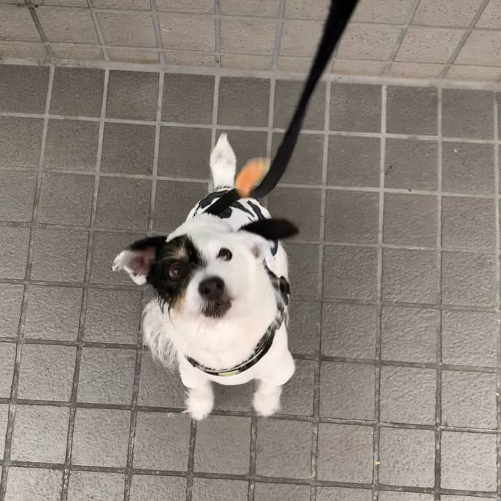 16b7aa8e 7528 4dba 8864 2bd40d90f264 1708476183526