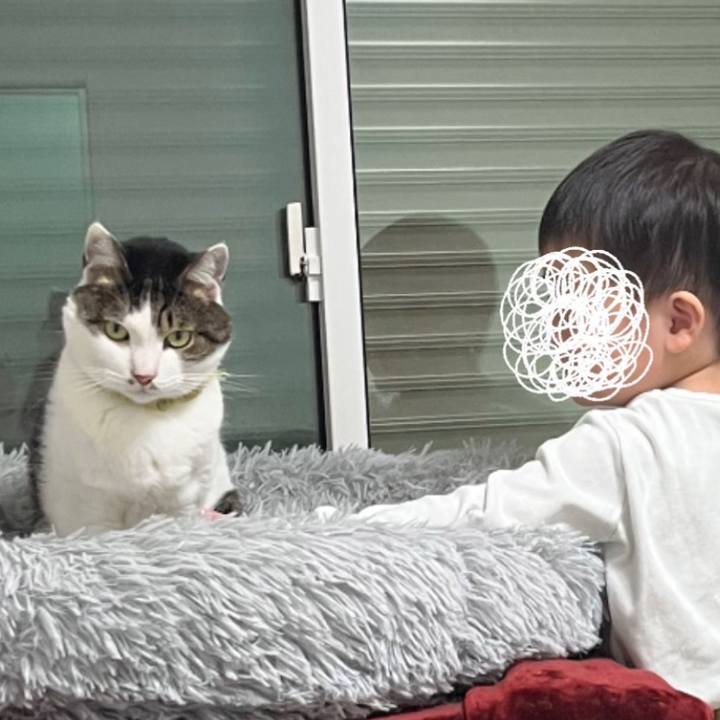 16b7e8f0 cfba 49a4 abbd c440ee420a82 1762003957037